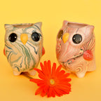 Owl - Plant Pot