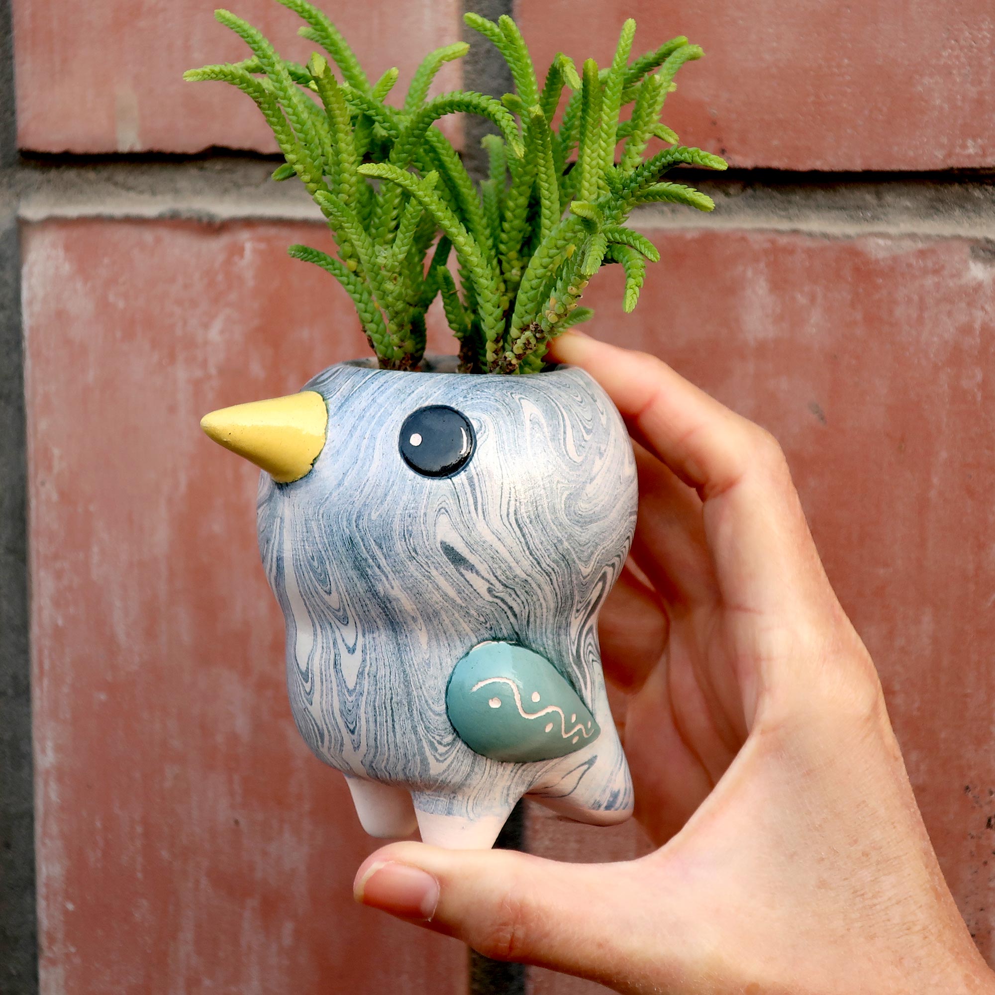 Bird Pio - Swirly Mini Ceramic Plant Pot - Assorted