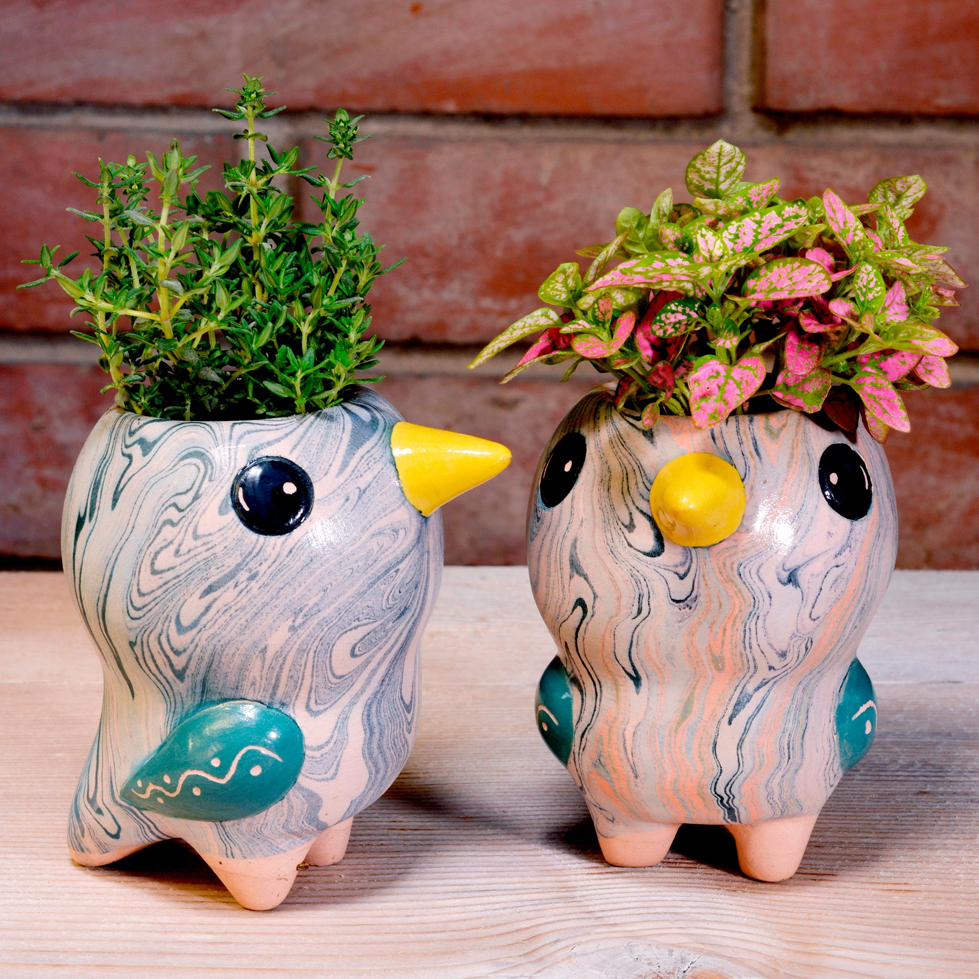 Bird Pio - Swirly Mini Ceramic Plant Pot - Assorted